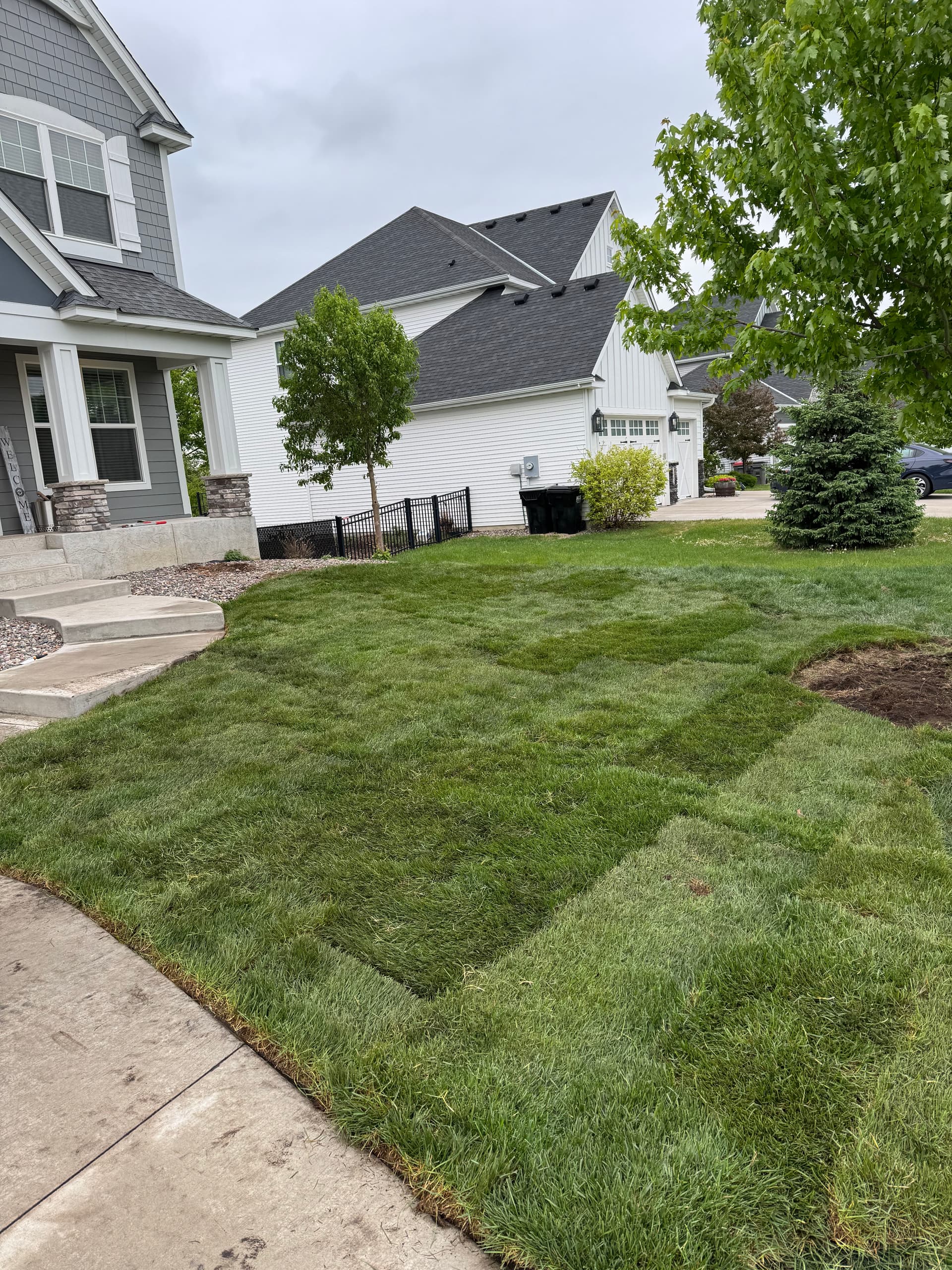 Gallery photos for Lush Lawn Makeover in Andover: Image #1