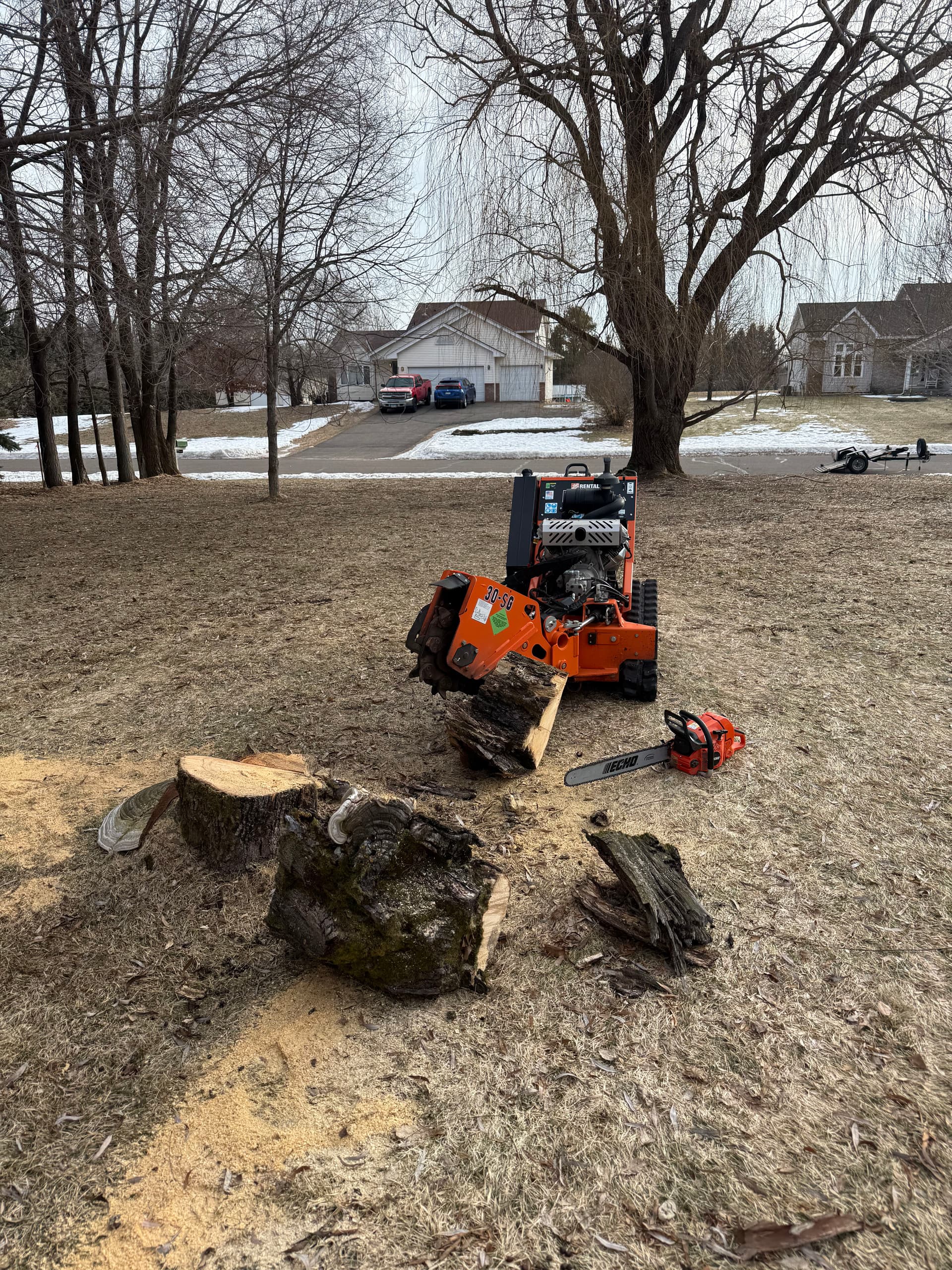 Tree Removal Project in East Bethel Minnesota