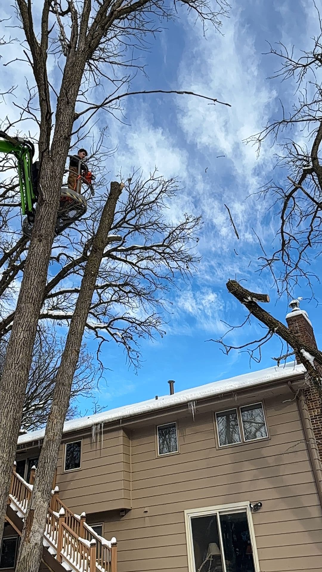 Gallery photos for Efficient Tree Removal Project in Andover: Image #3