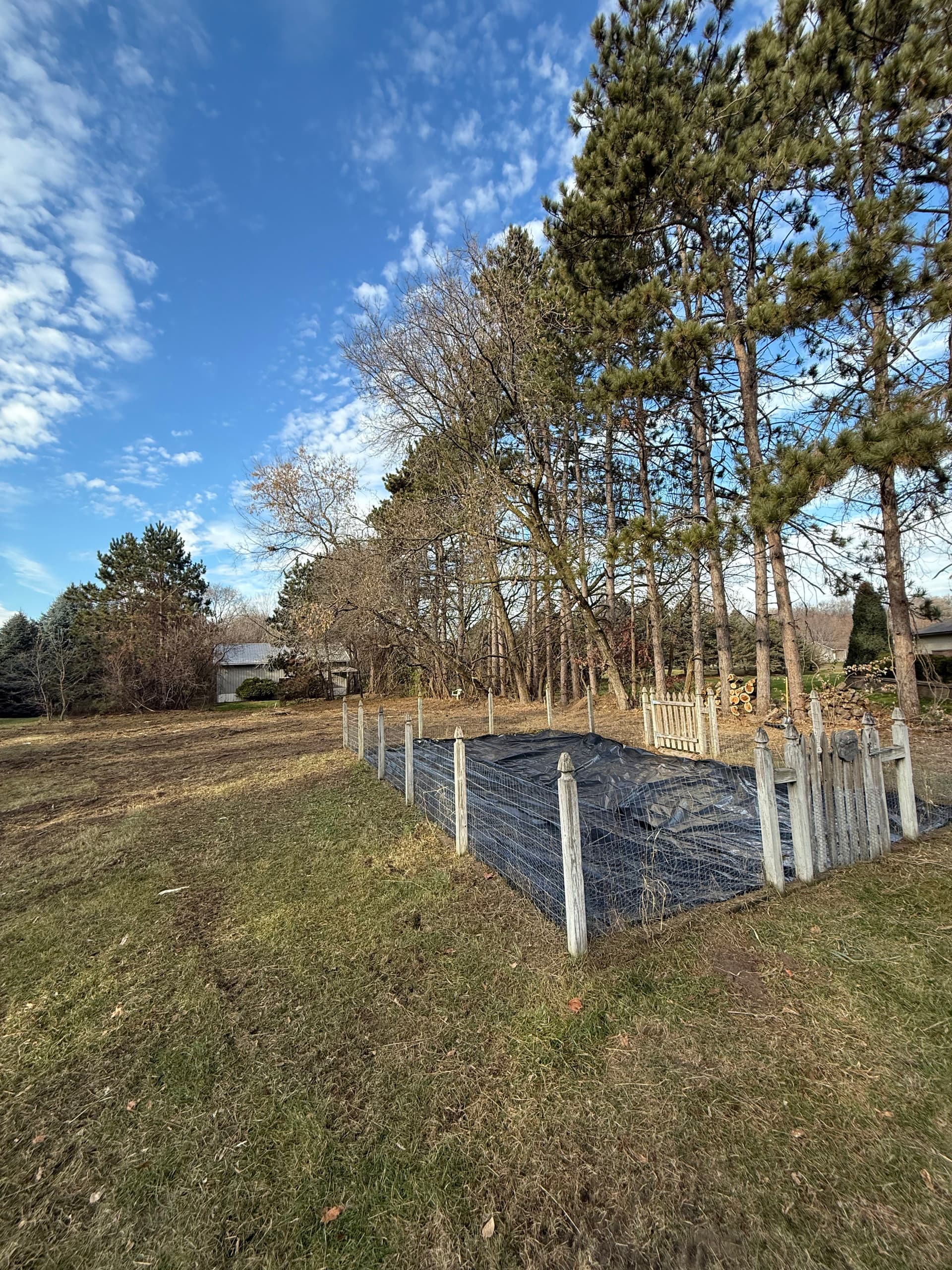 Gallery photos for Brush Clearing Project in Rogers MN: Image #4