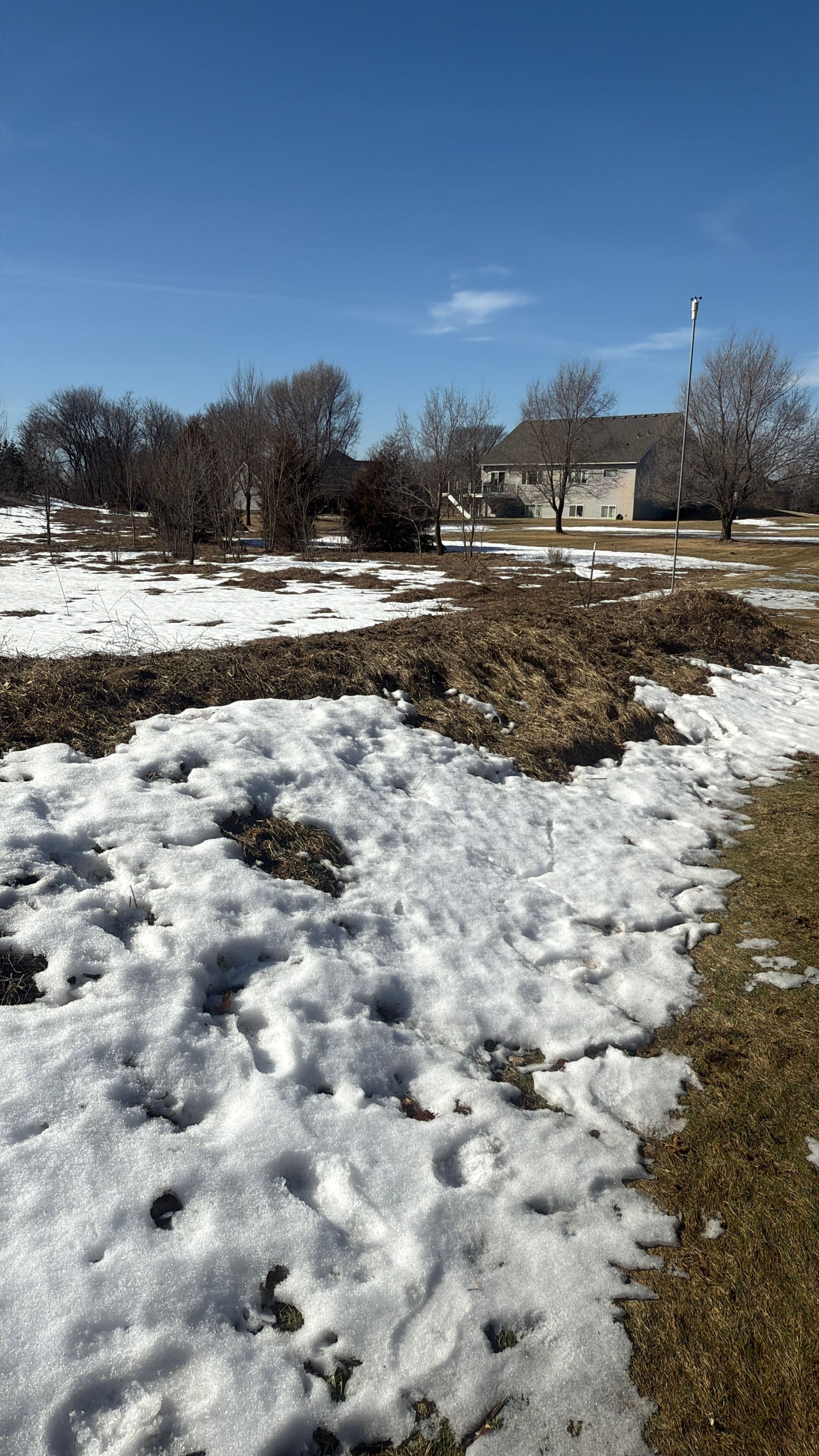 Project From Snow to Smooth Grounds in Oak Grove image