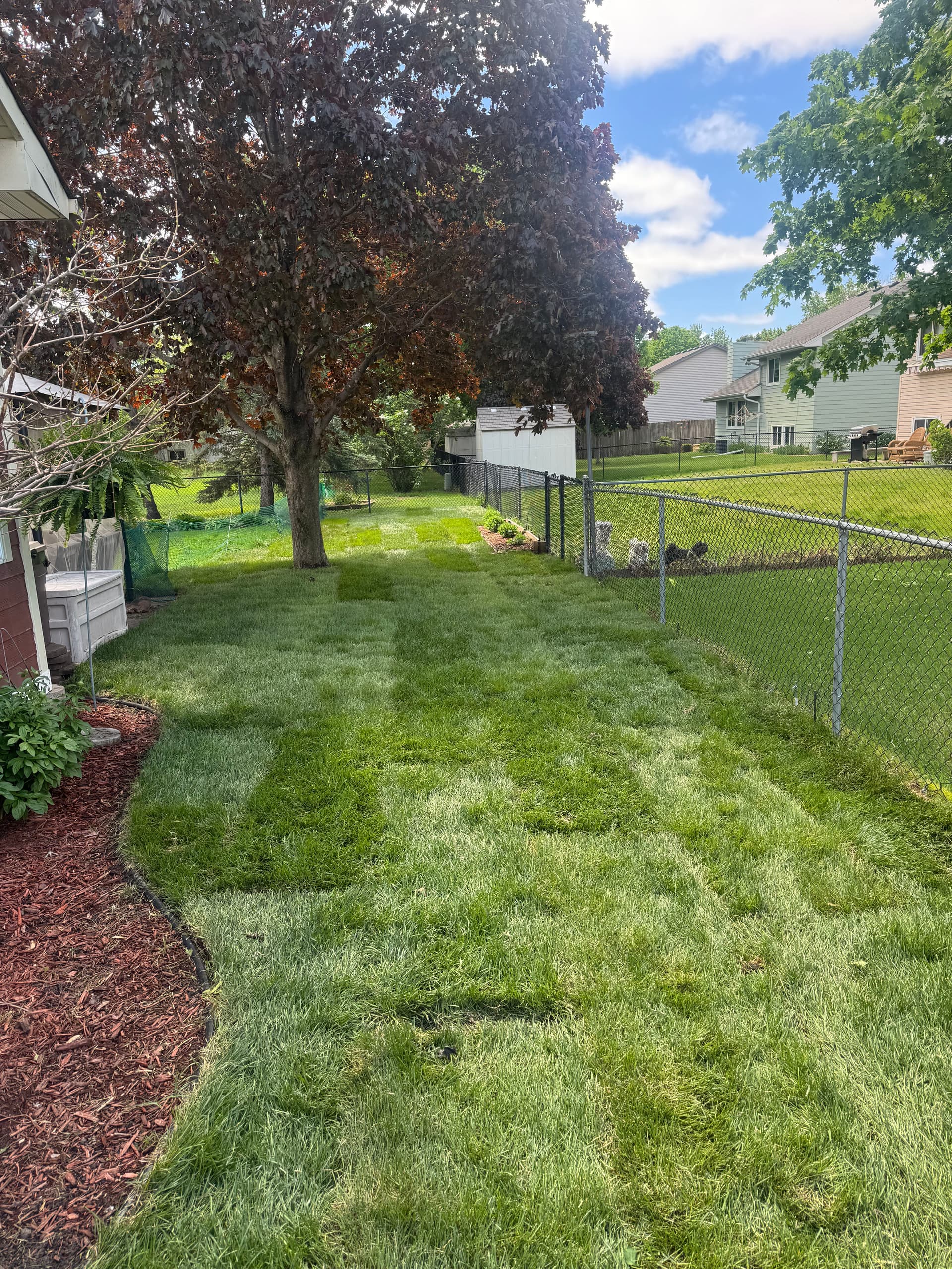 Gallery photos for Lush Lawn Makeover in Andover: Image #3
