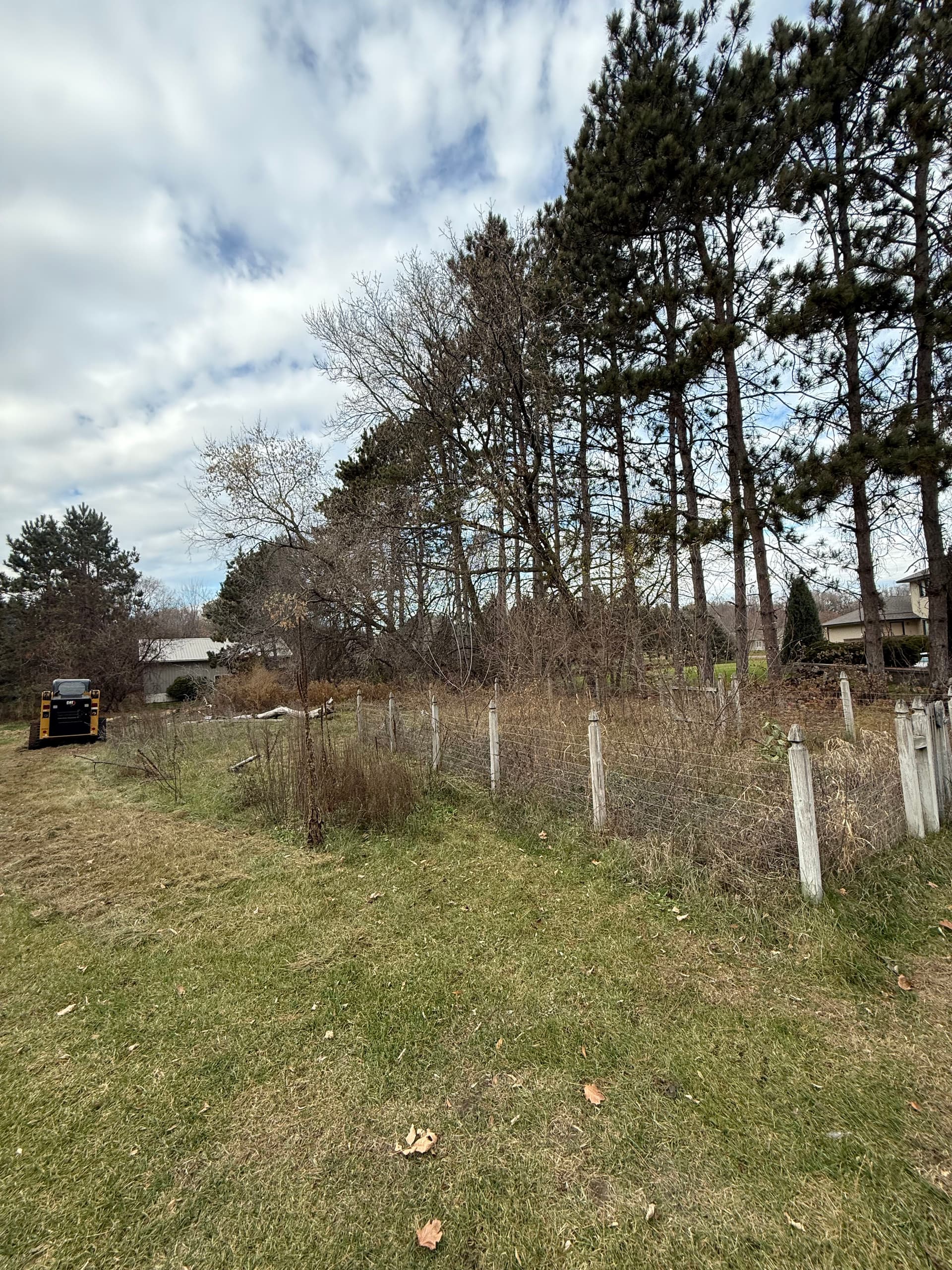 Gallery photos for Brush Clearing Project in Rogers MN: Image #3