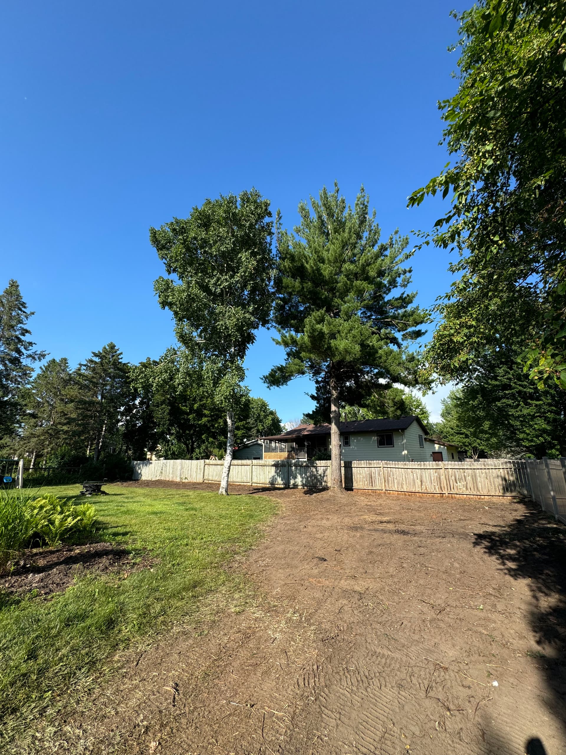 Gallery photos for Backyard Clearing in Lino Lakes: Image #3