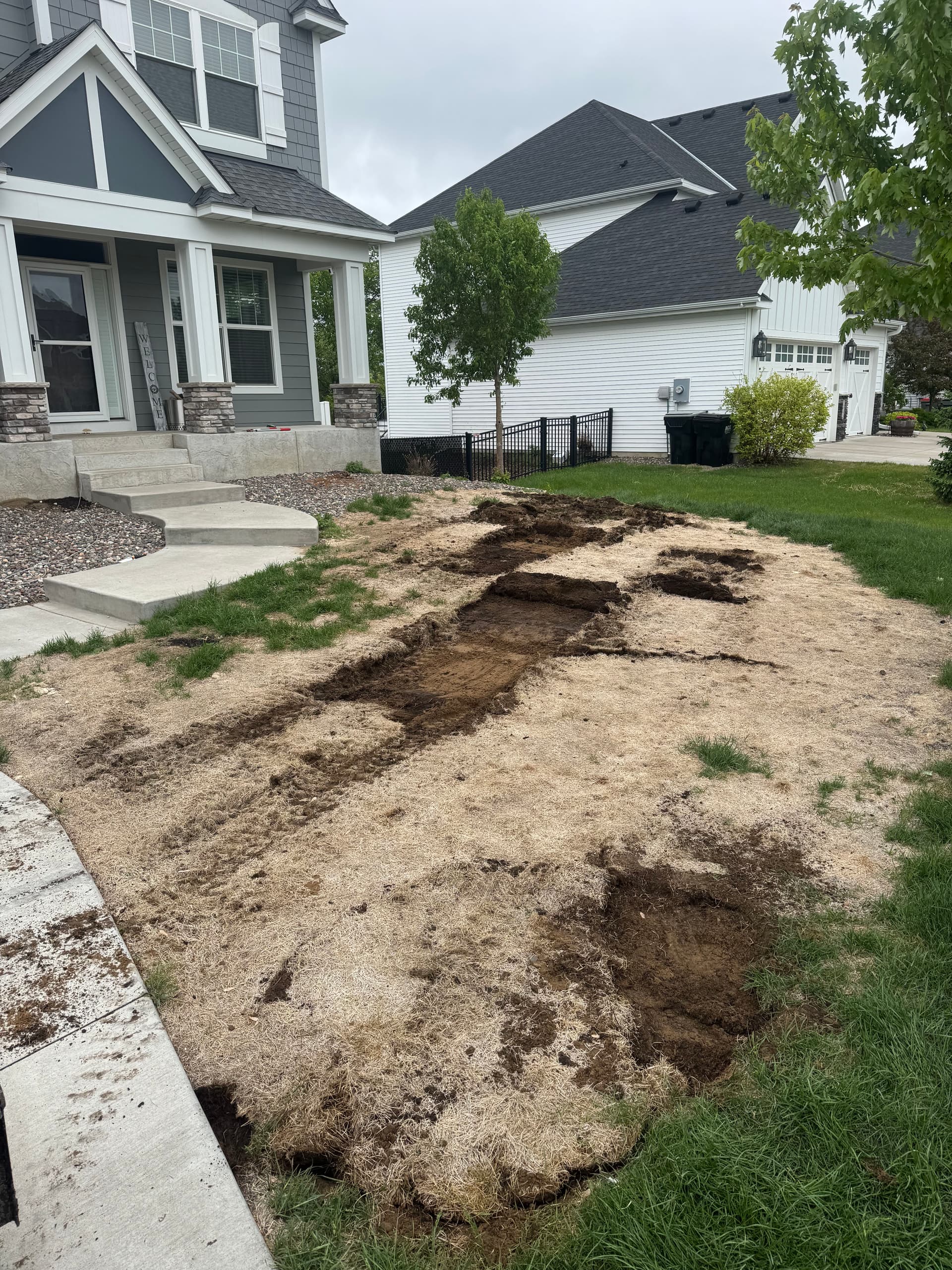 Lush Lawn Makeover in Andover