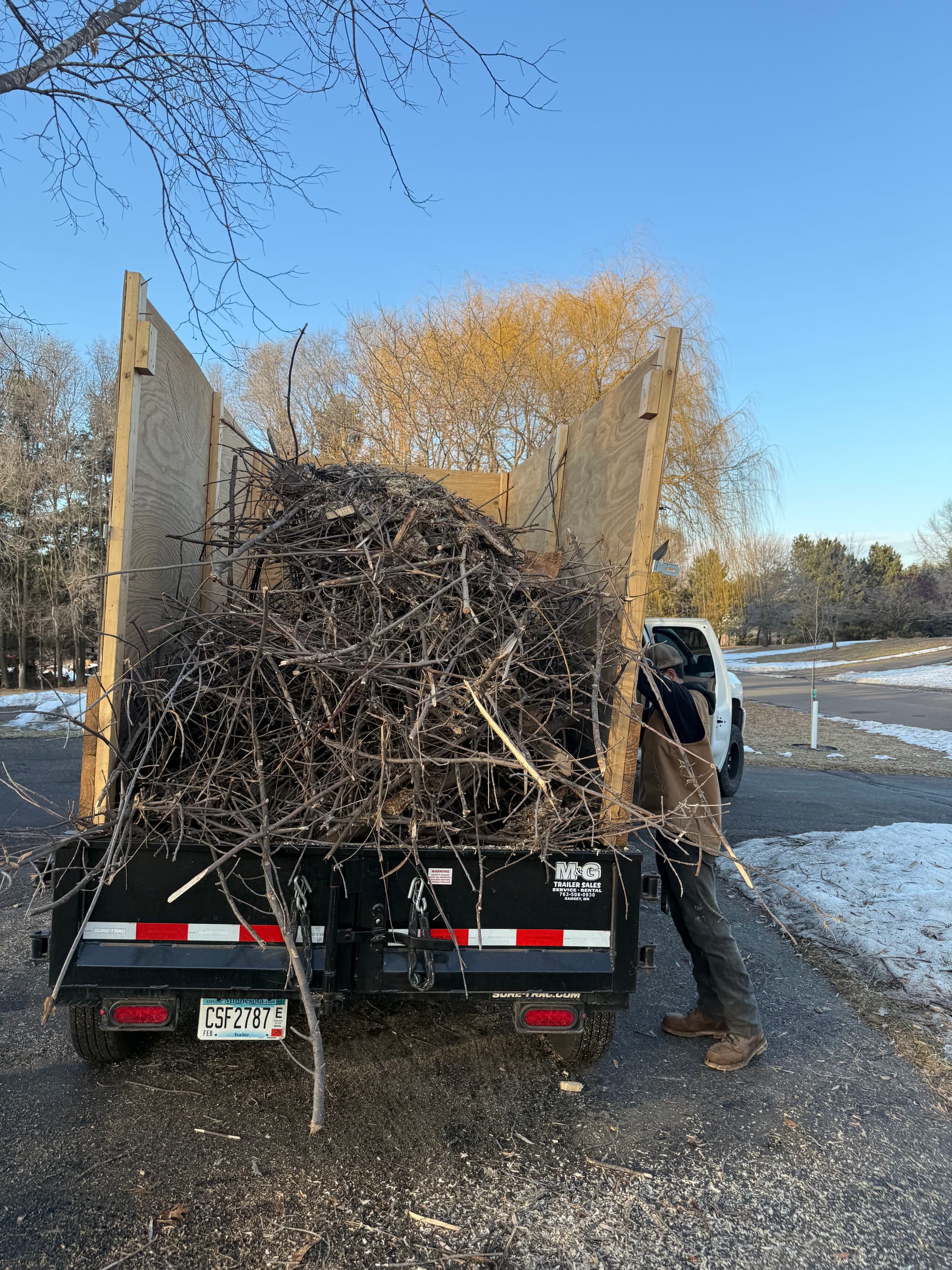 Gallery photos for Tree Removal Project in East Bethel Minnesota: Image #5