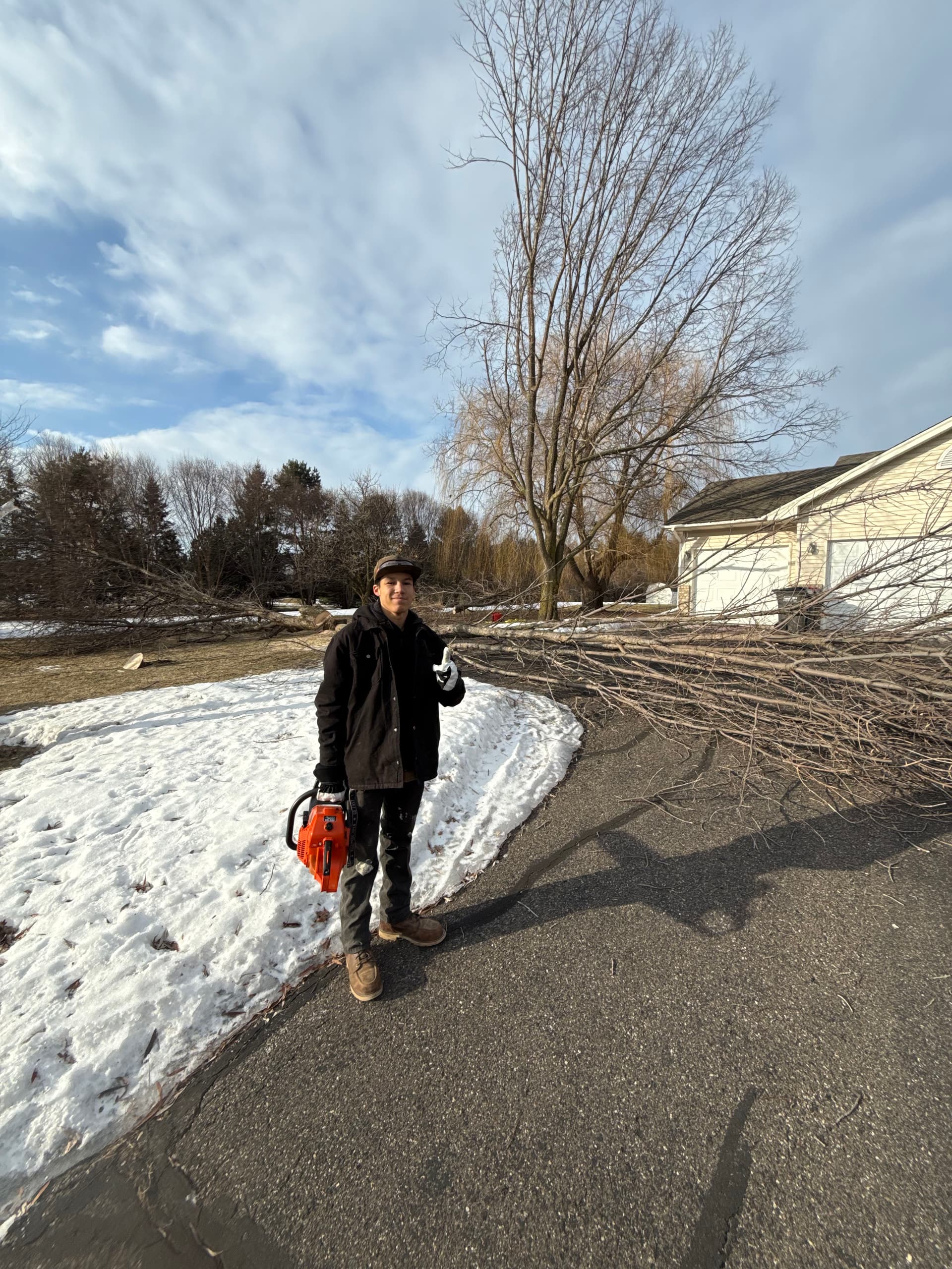 Tree Removal Project in East Bethel Minnesota