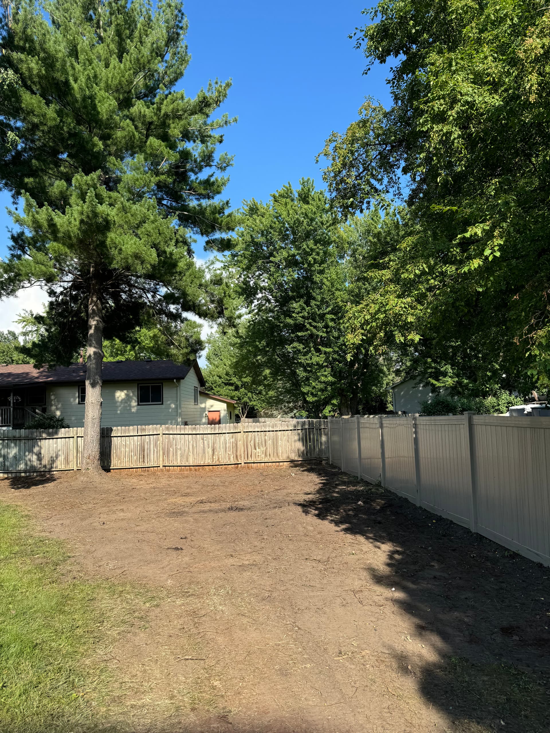 Gallery photos for Backyard Clearing in Lino Lakes: Image #1