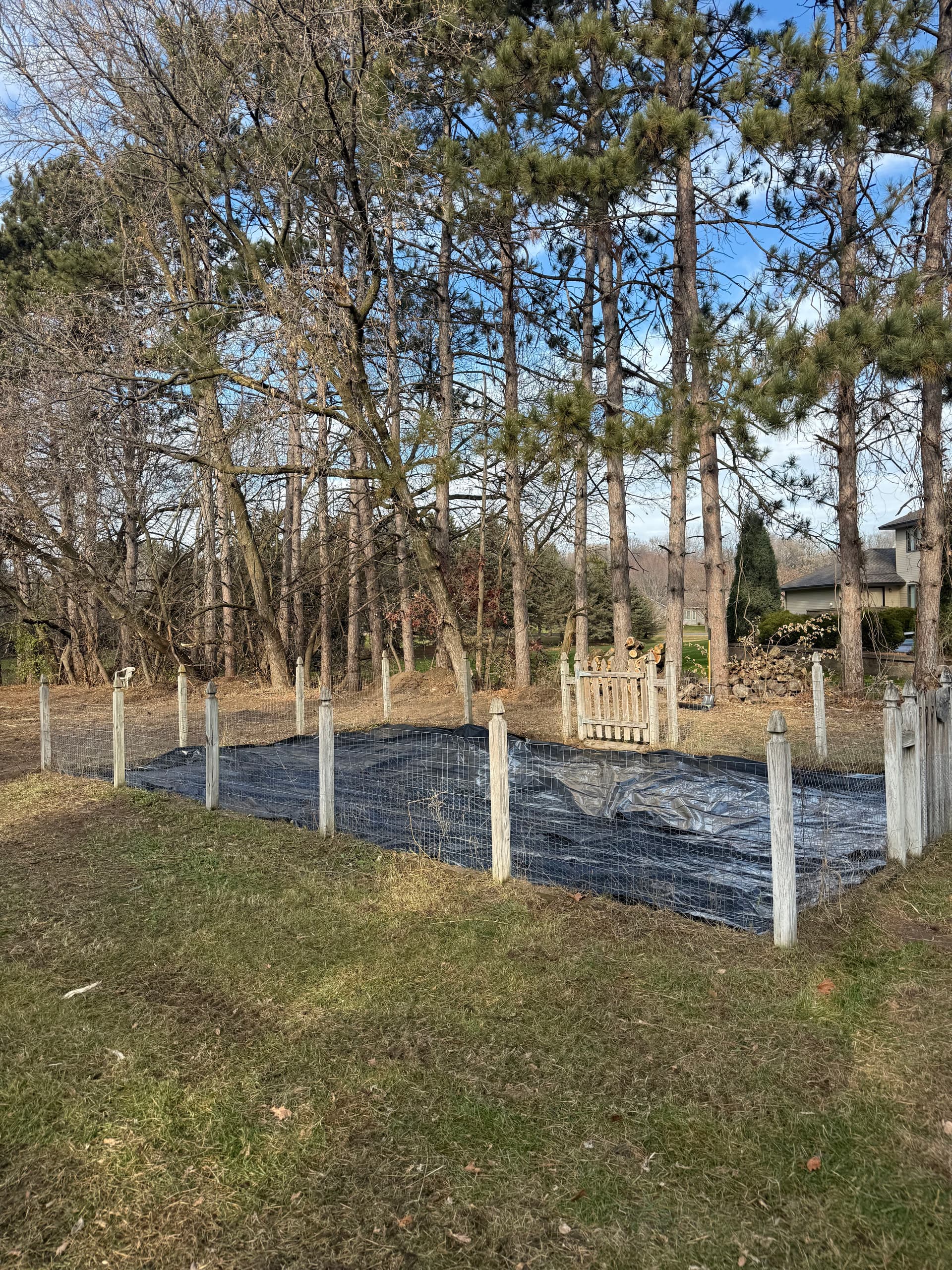 Gallery photos for Brush Clearing Project in Rogers MN: Image #2