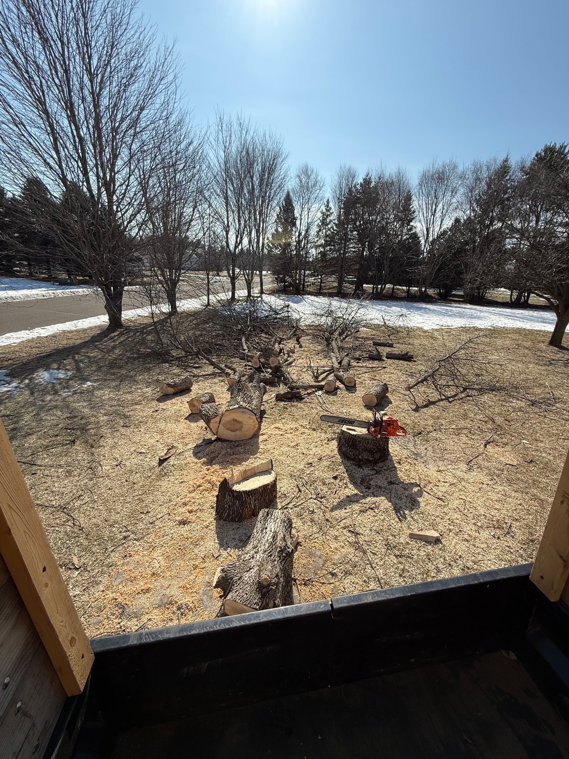 Gallery photos for Tree Removal Project in East Bethel Minnesota: Image #3