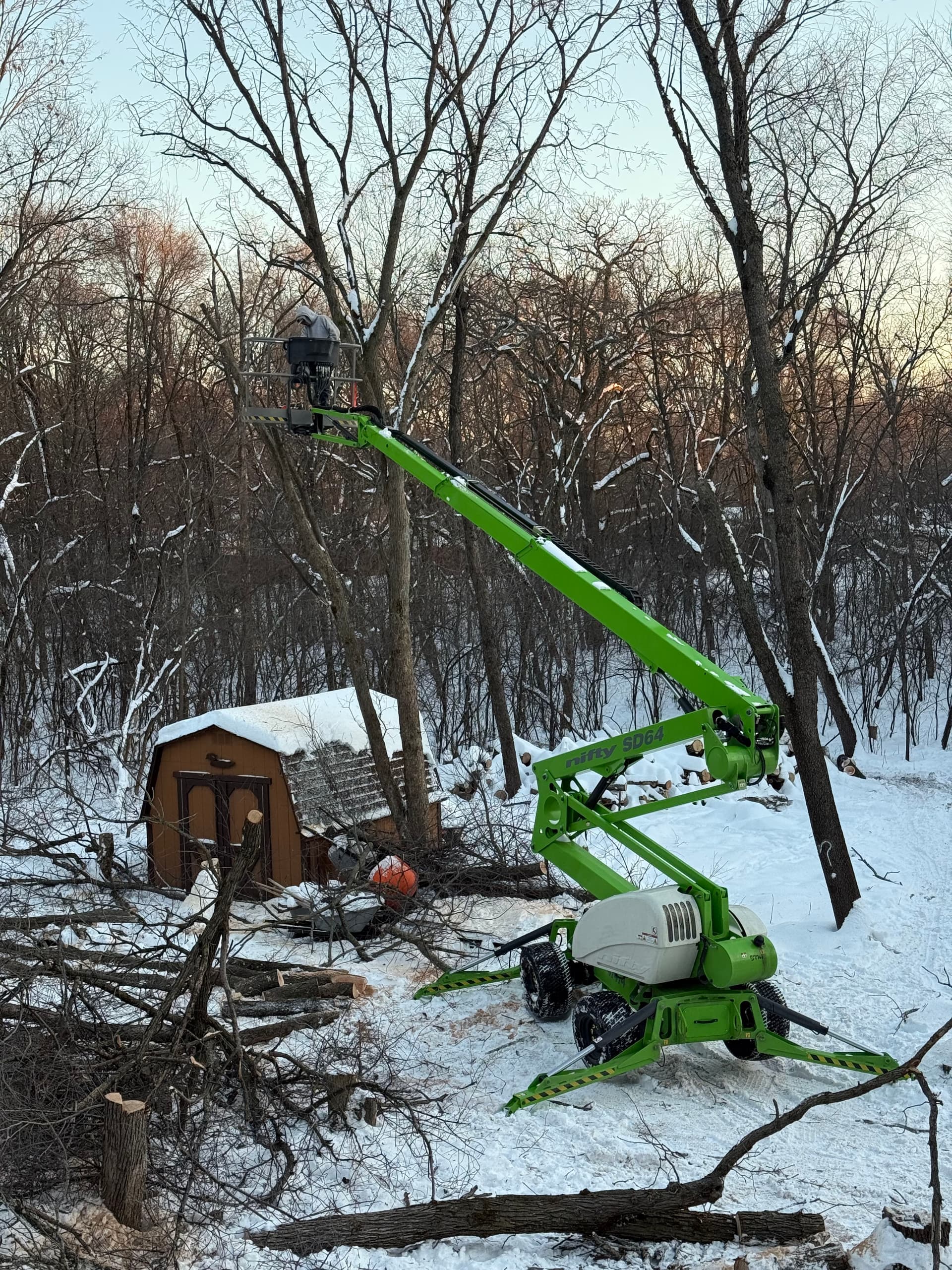 Gallery photos for Efficient Tree Removal Project in Andover: Image #4