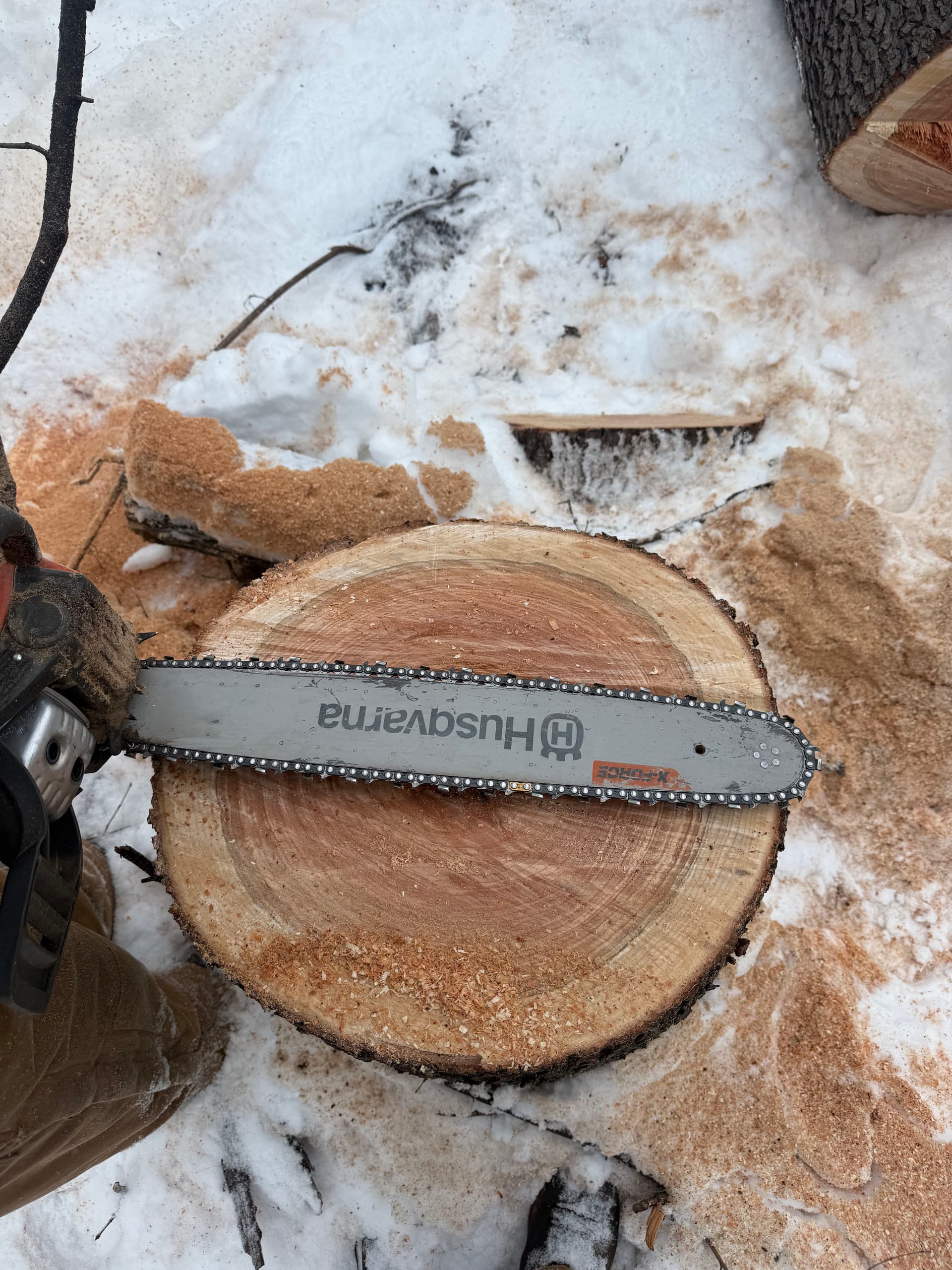 Gallery photos for Efficient Tree Removal Project in Andover: Image #6