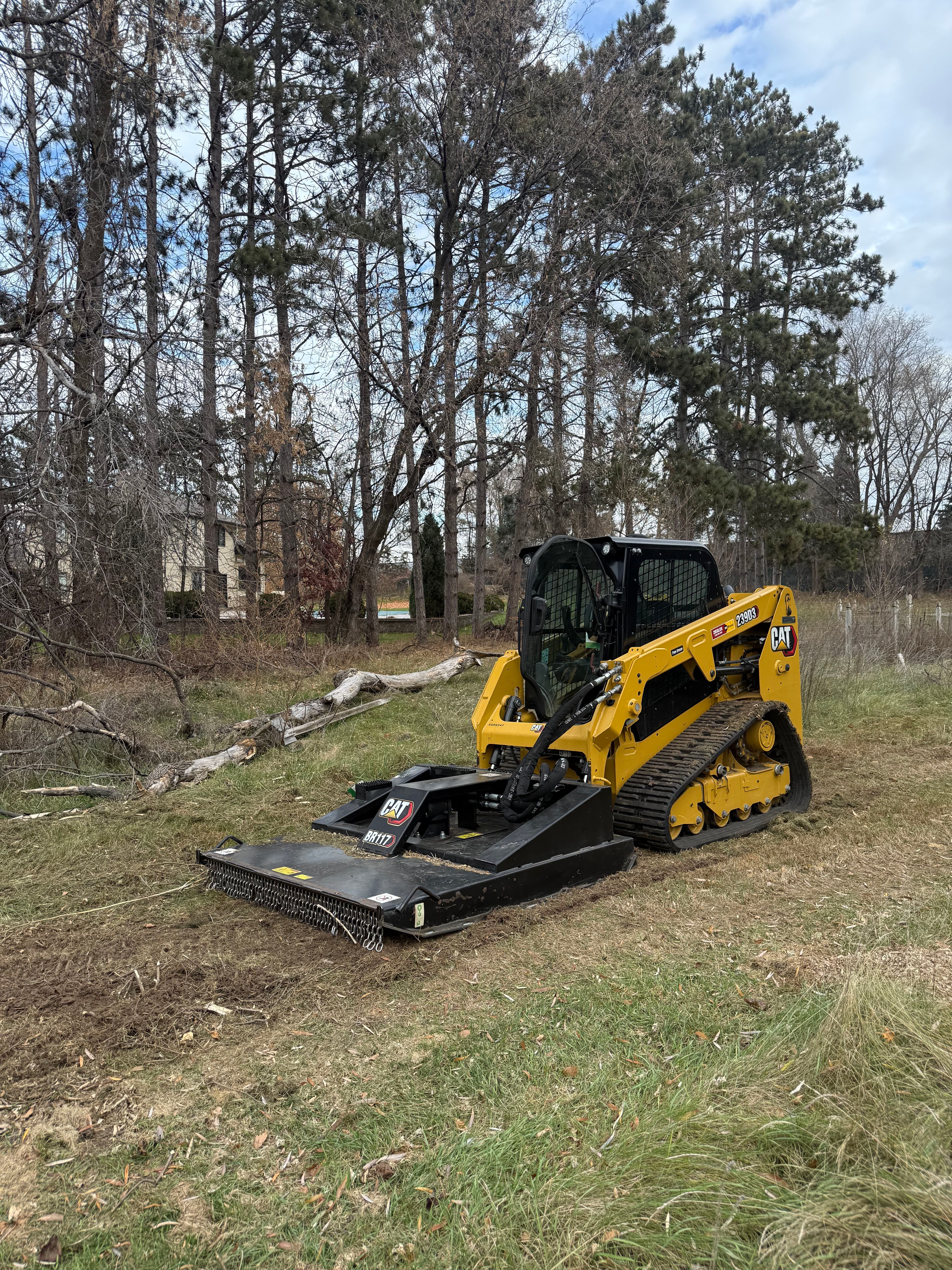 Project Brush Clearing Project in Rogers MN image