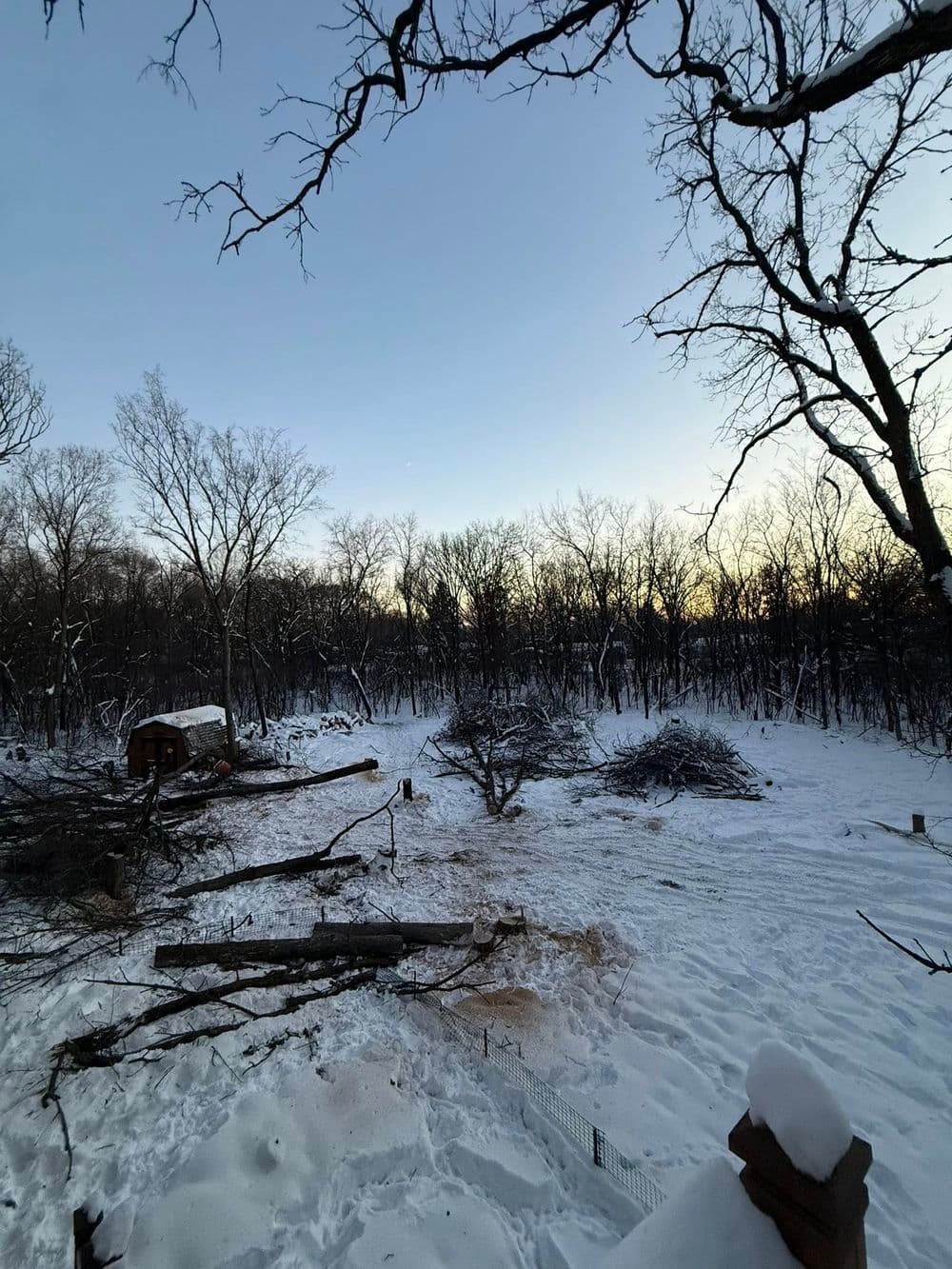Gallery photos for Tree Removal and Land Clearing in Andover MN: Image #6