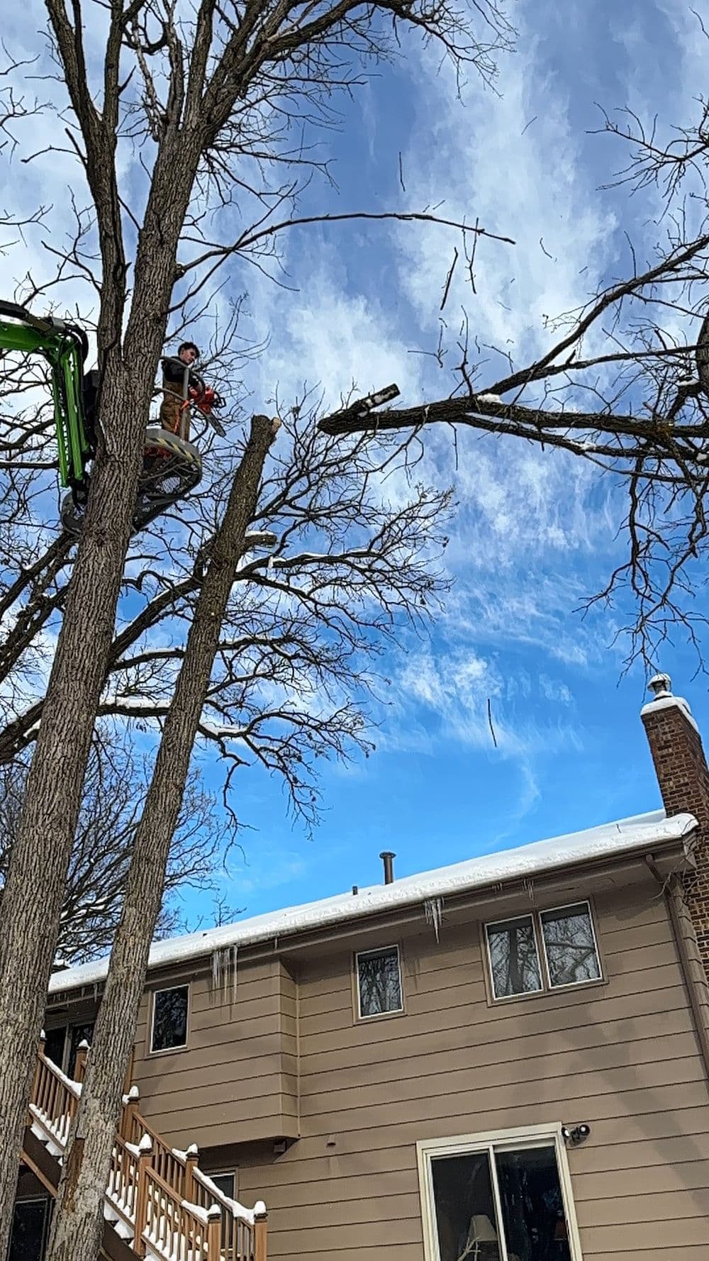Project Tree Removal and Land Clearing in Andover MN image