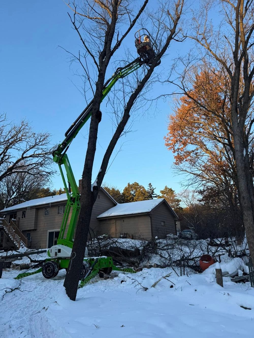Tree Removal and Land Clearing in Andover MN