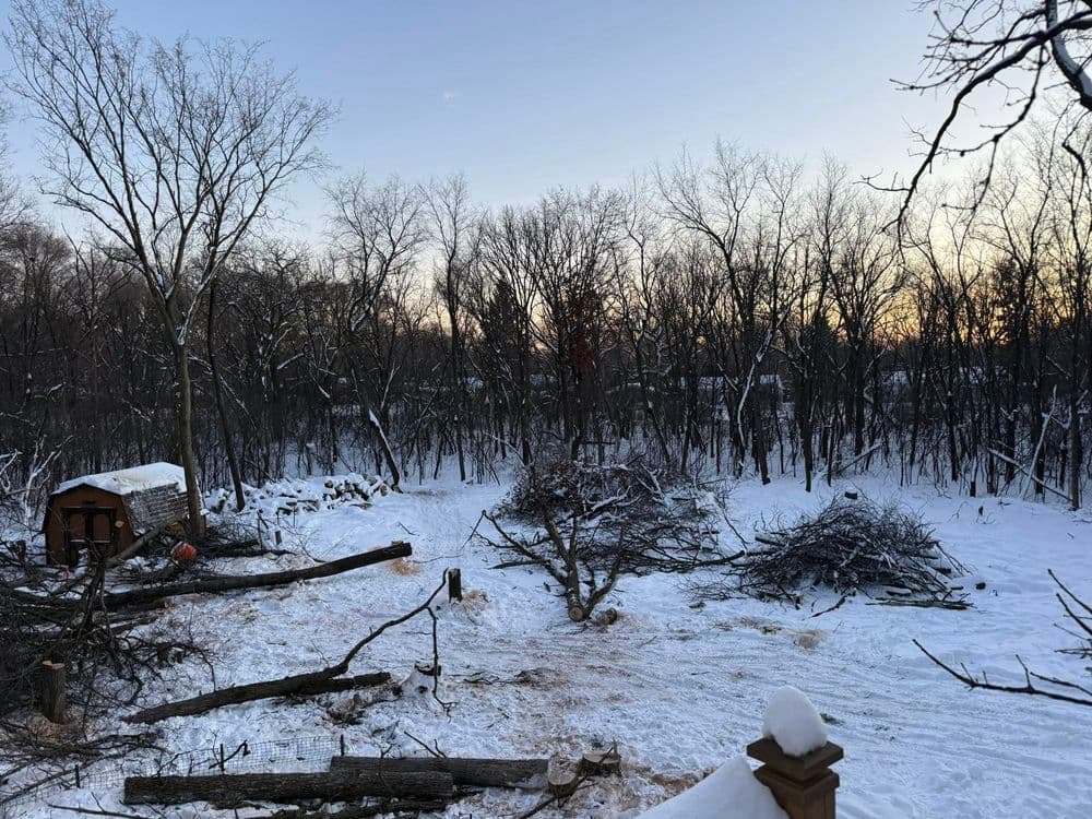 Tree Removal and Land Clearing in Andover MN