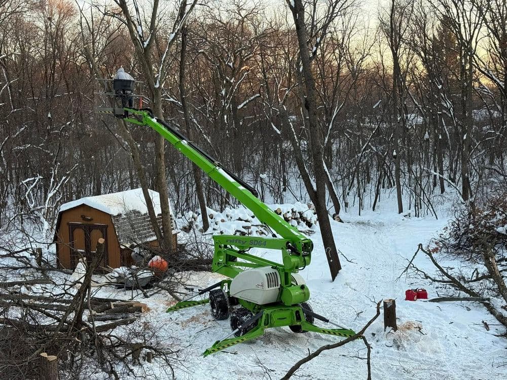 Tree Removal and Land Clearing in Andover MN