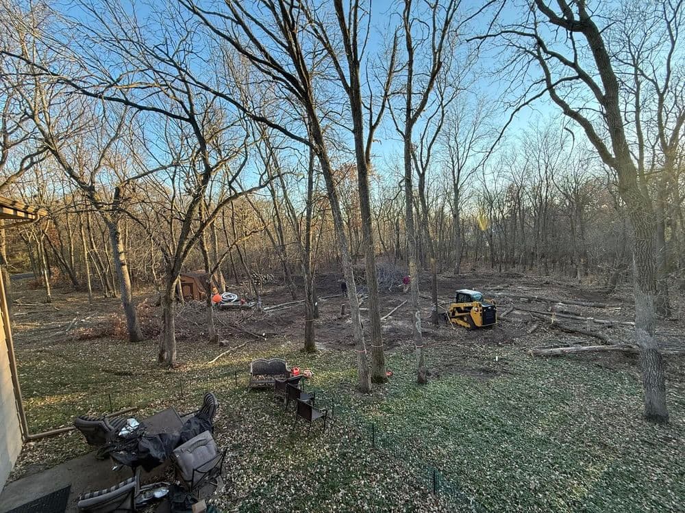 Tree Removal and Land Clearing in Andover MN