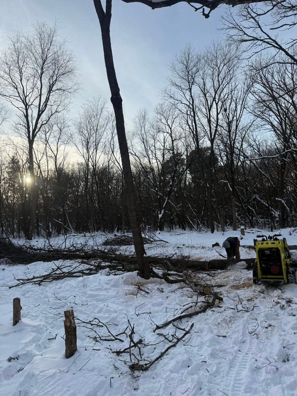 Gallery photos for Tree Removal and Land Clearing in Andover MN: Image #12