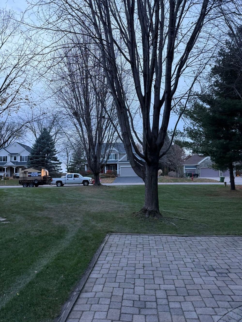 Gallery photos for Efficient Leaf Cleanup Service in Andover MN: Image #2