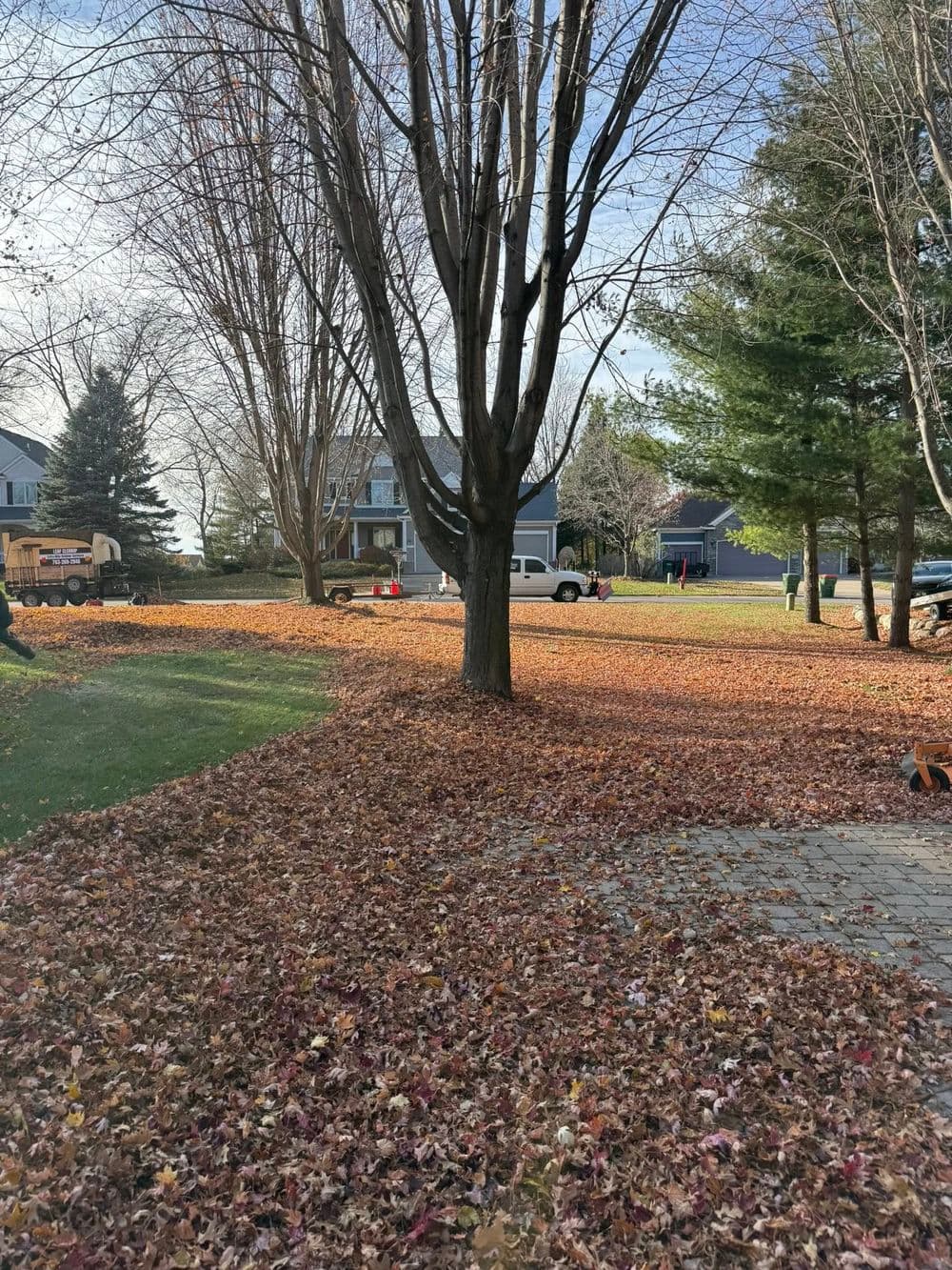 Gallery photos for Efficient Leaf Cleanup Service in Andover MN: Image #4