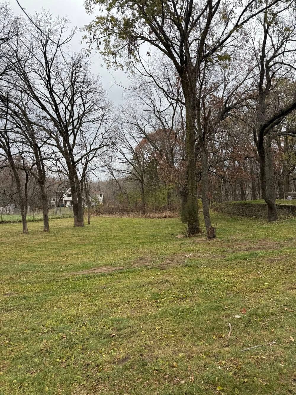 Gallery photos for Efficient Leaf Cleanup Service in Andover MN: Image #1